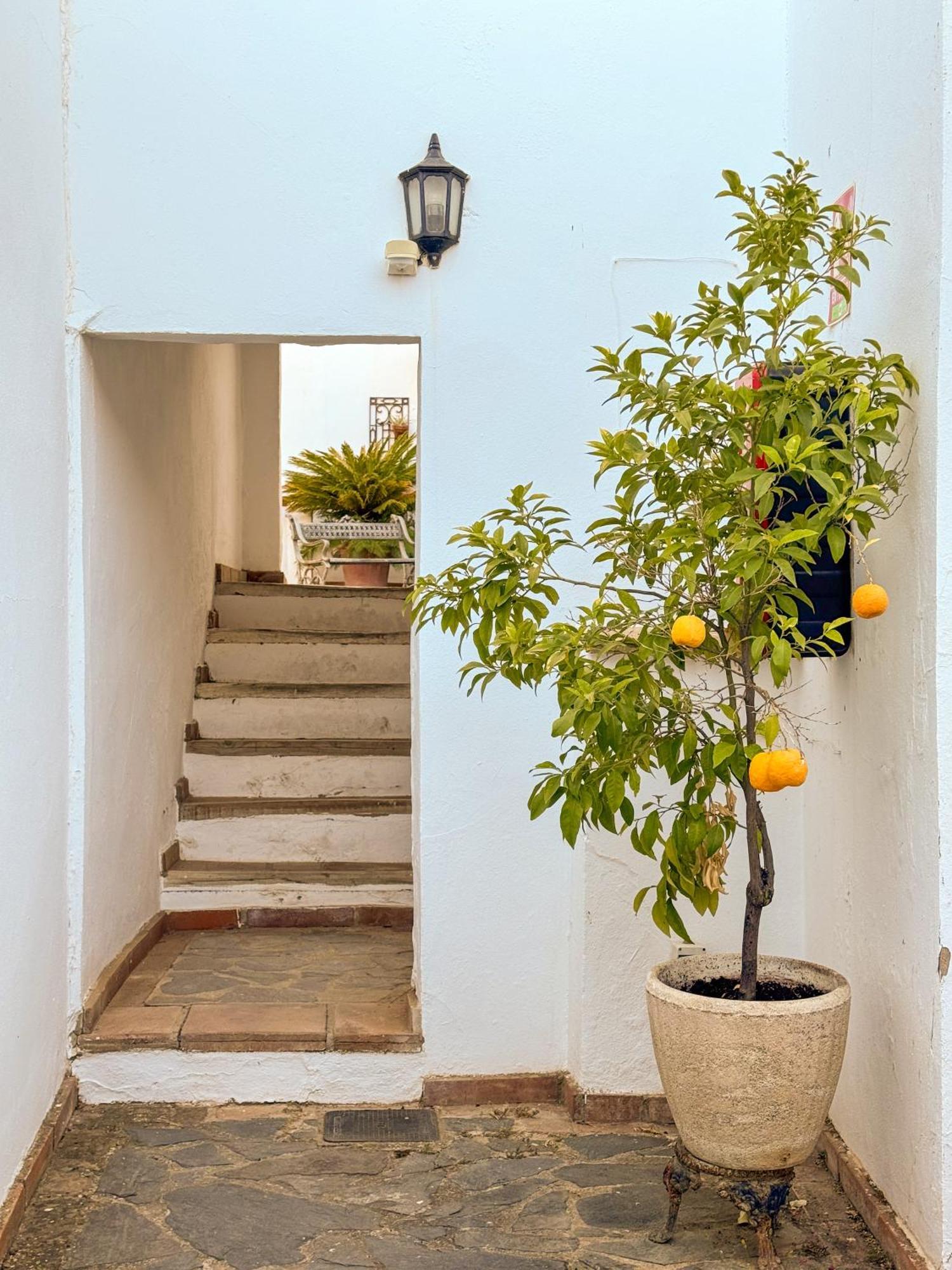 Hotel Cortijo Las Piletas Ronda Exteriör bild